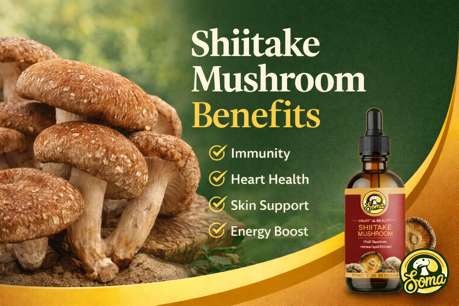 Shiitake Mushroom Benefits