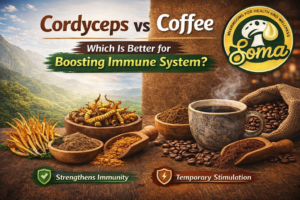 Cordyceps vs Coffee