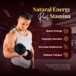 Cordyceps Militaris Mushroom Potent Liquid Extract - Image 4