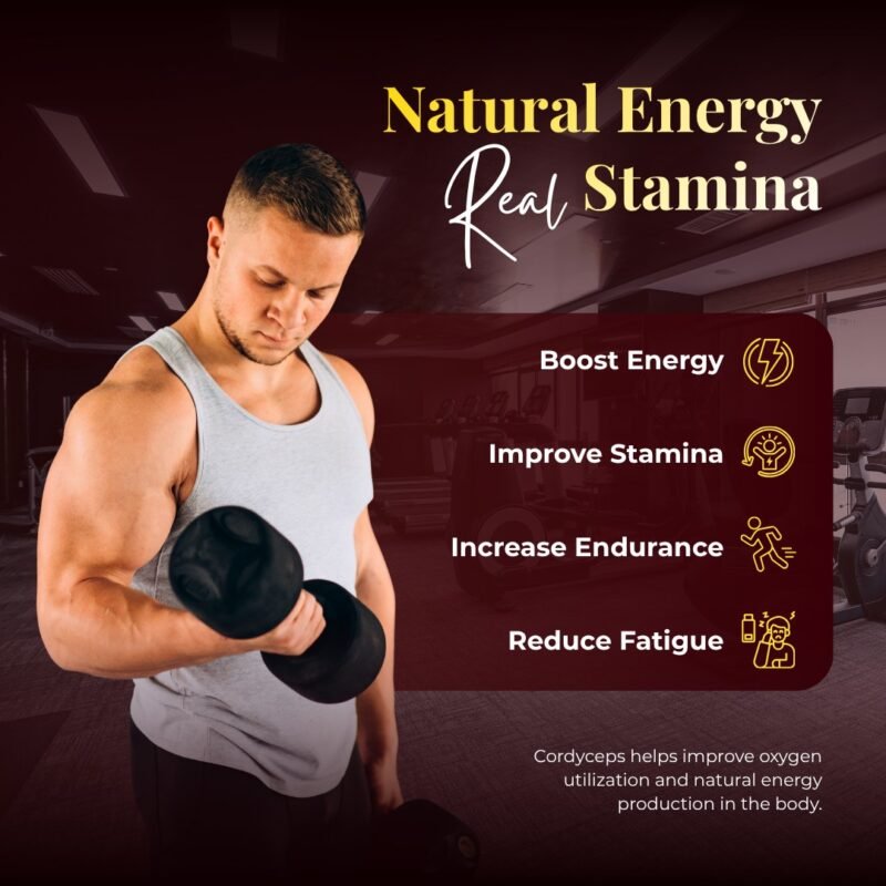 Cordyceps Mushroom Supplement