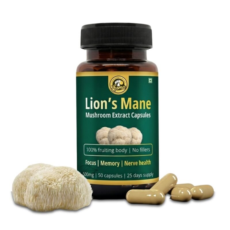 Lion’s Mane Mushroom