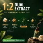 Best Mushroom for Brain Health