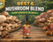 Best 6 Mushroom Blend Supplement in India