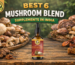 Best 6 Mushroom Blend Supplement in India