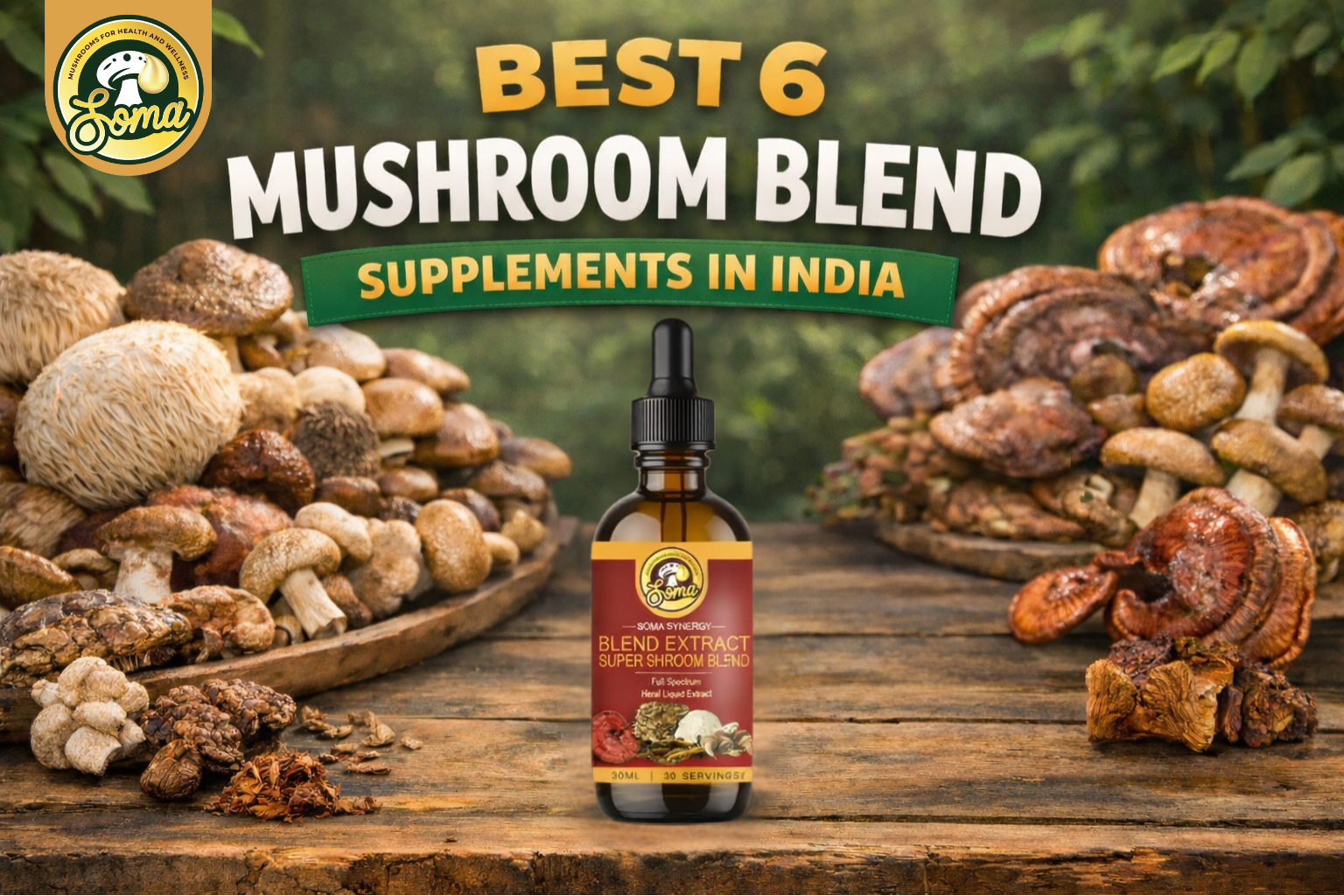 Best 6 Mushroom Blend Supplement in India