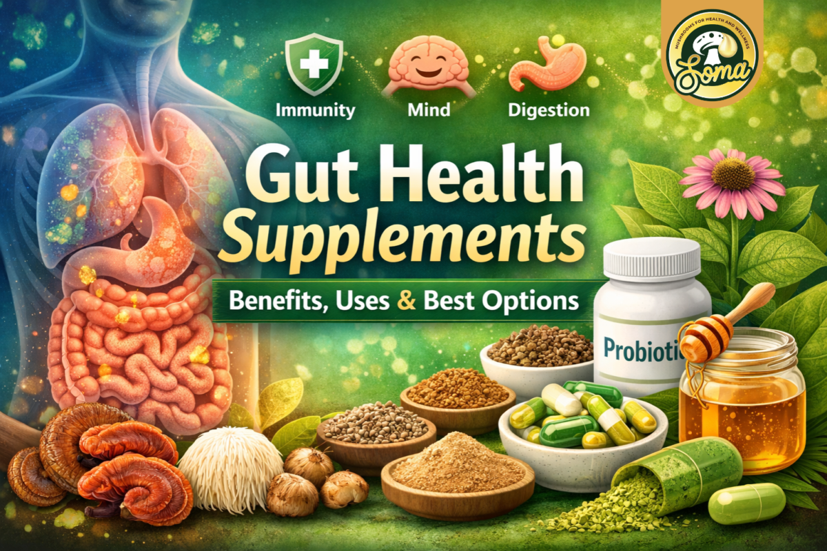 Gut Health Supplements