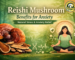 Reishi mushroom benefits for anxiety