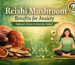 Reishi mushroom benefits for anxiety