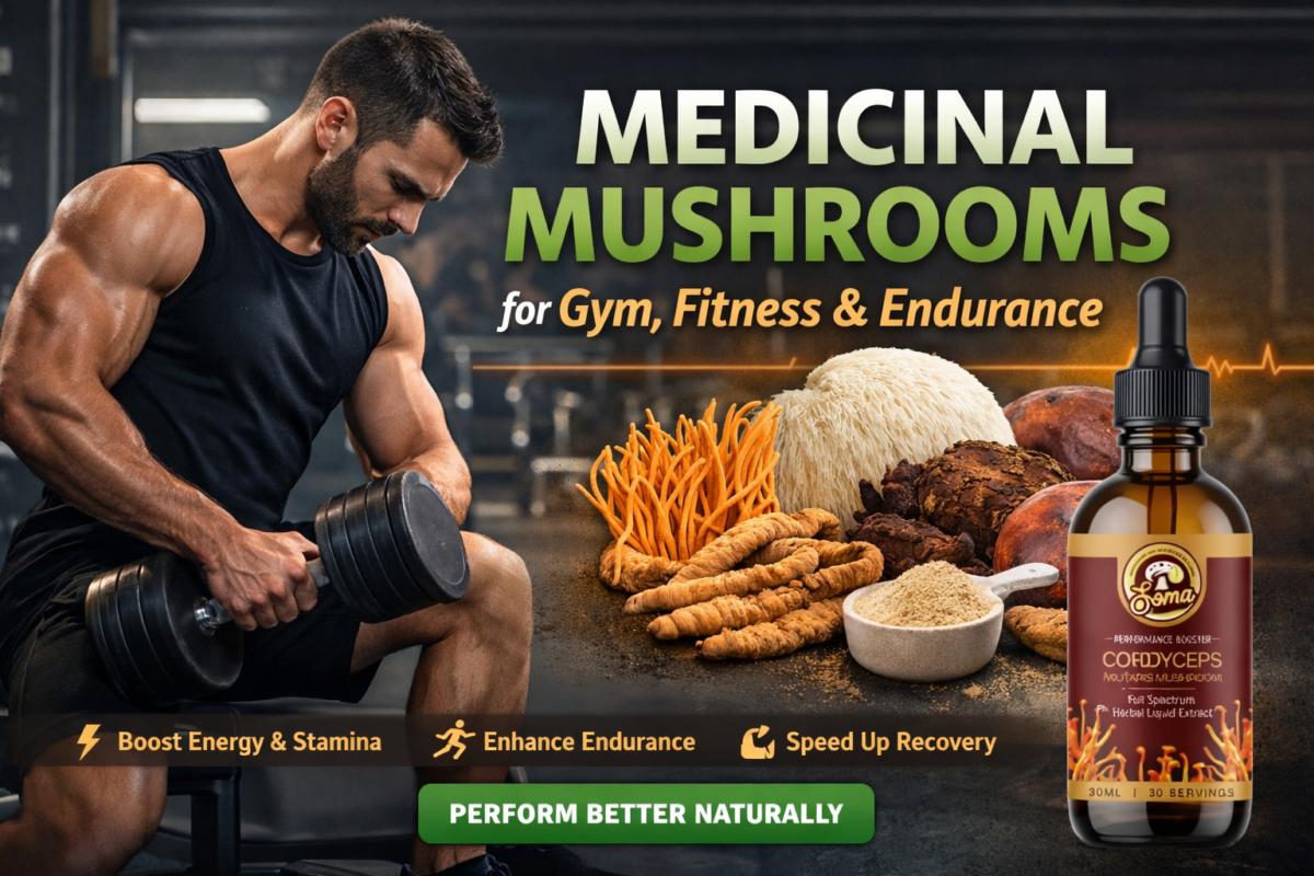 Cordyceps Militaris Liquid Extract