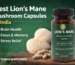 Lion’s Mane Mushroom Capsule
