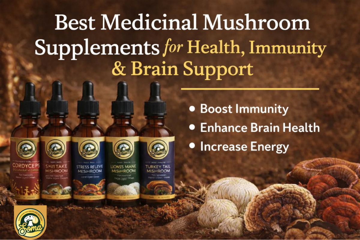 Best Medicinal Mushroom Supplements