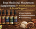Best Medicinal Mushroom Supplements