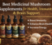 Best Medicinal Mushroom Supplements