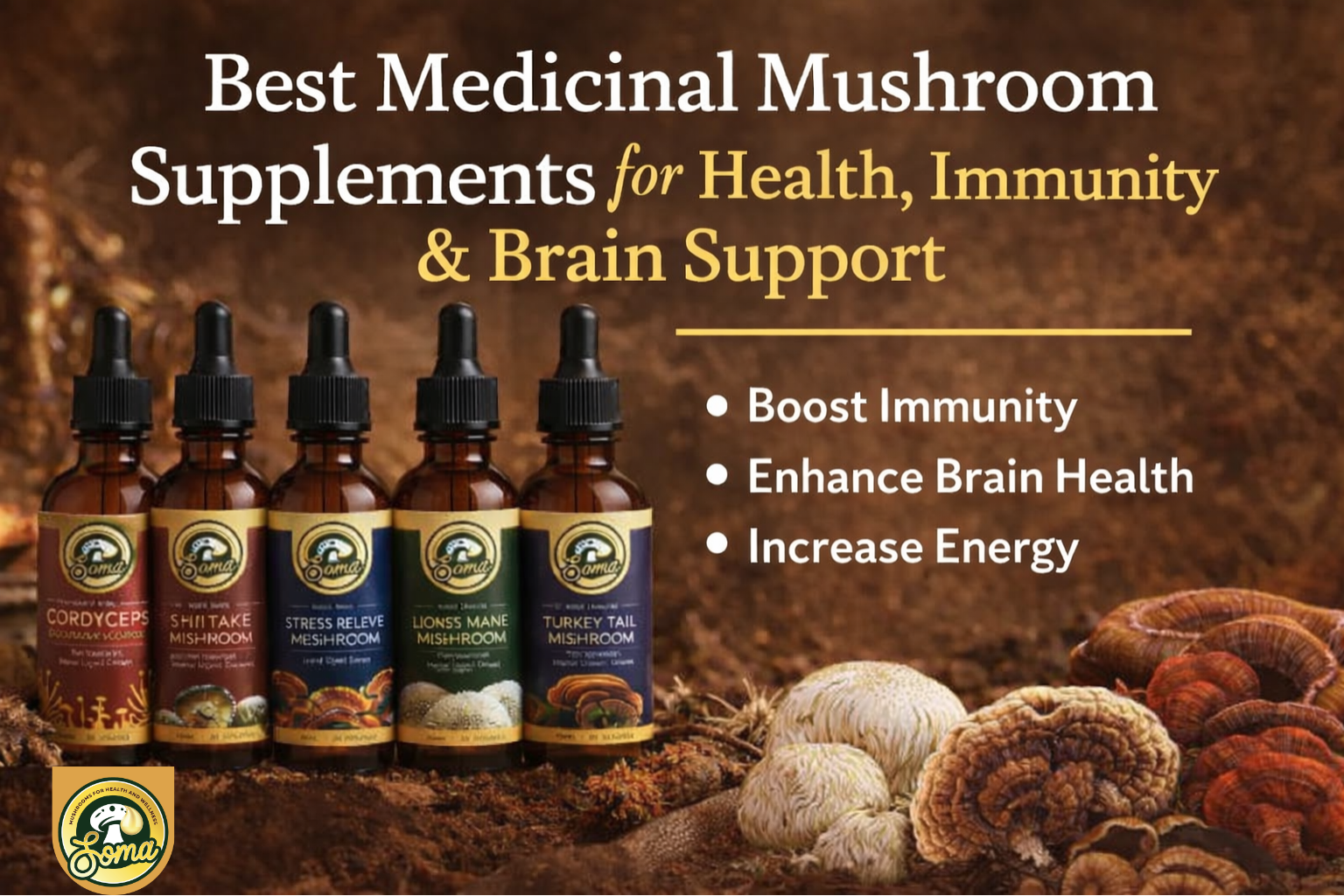 Best Medicinal Mushroom Supplements