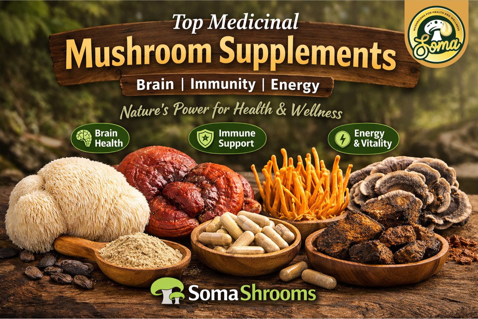 Top Medicinal Mushroom Supplements