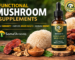 functional mushroom supplements