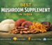 Best Mushroom Supplement in India