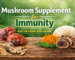 Mushroom Supplement for Immunity
