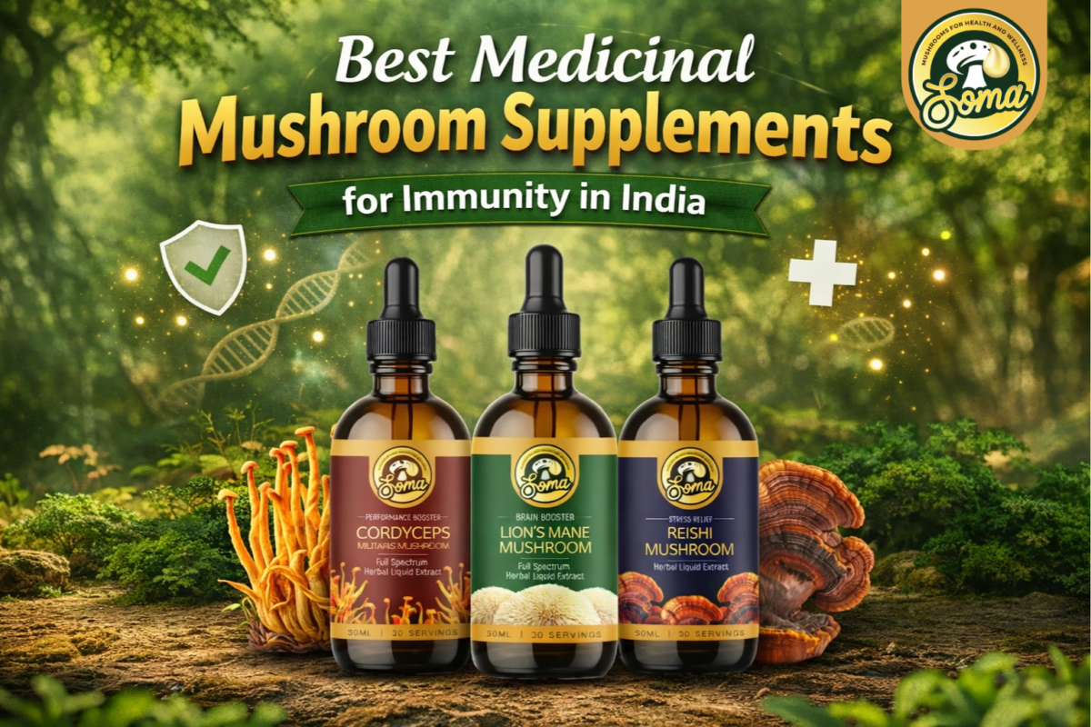 medicinal mushroom supplements