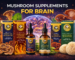Mushroom Supplements for Brain
