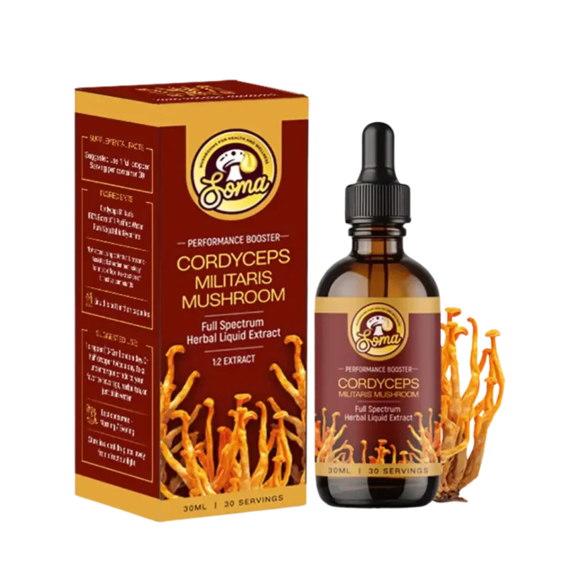 Mushroom Supplements for Women