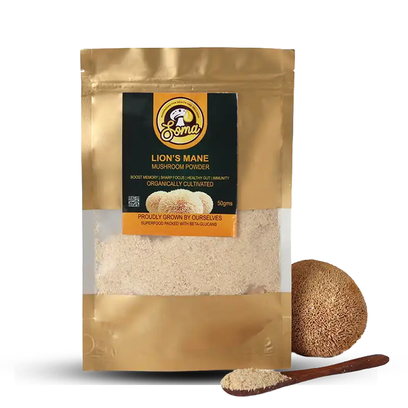 Lion’s Mane Mushroom Powder