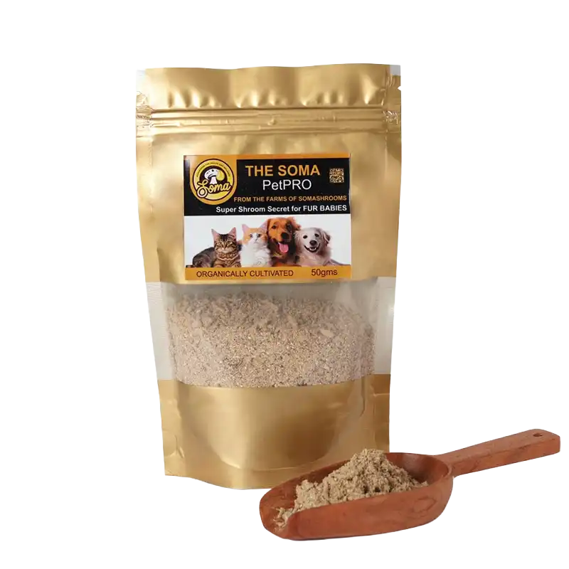 Medicinal Mushrooms for Pets