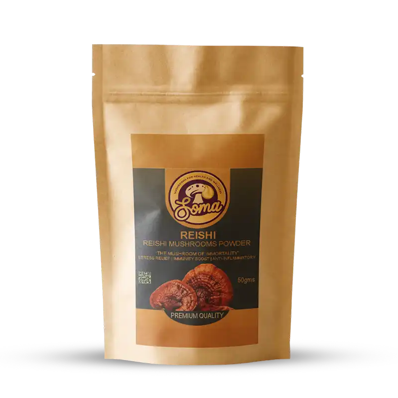 Powdered Mushroom Benefits for Better Health Daily