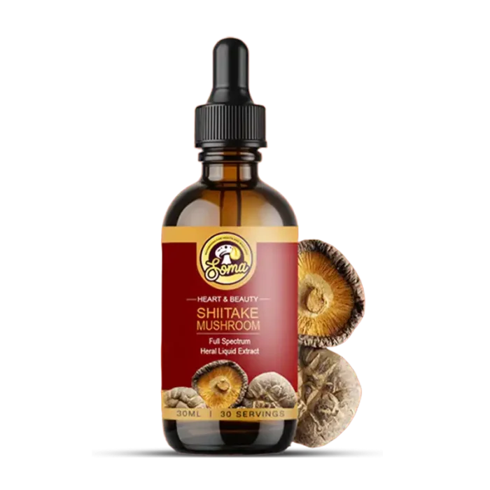 Medicinal Mushrooms