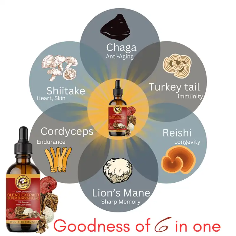 Best Mushroom Blend Extract