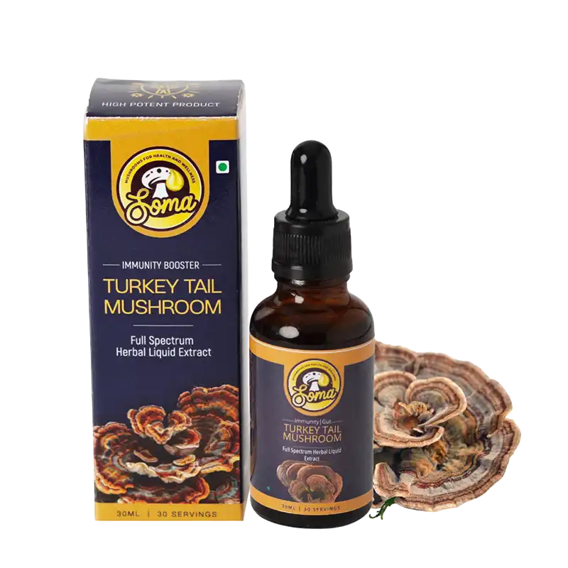 Turkey Tail Mushroom India