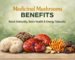 Medicinal Mushrooms Benefits