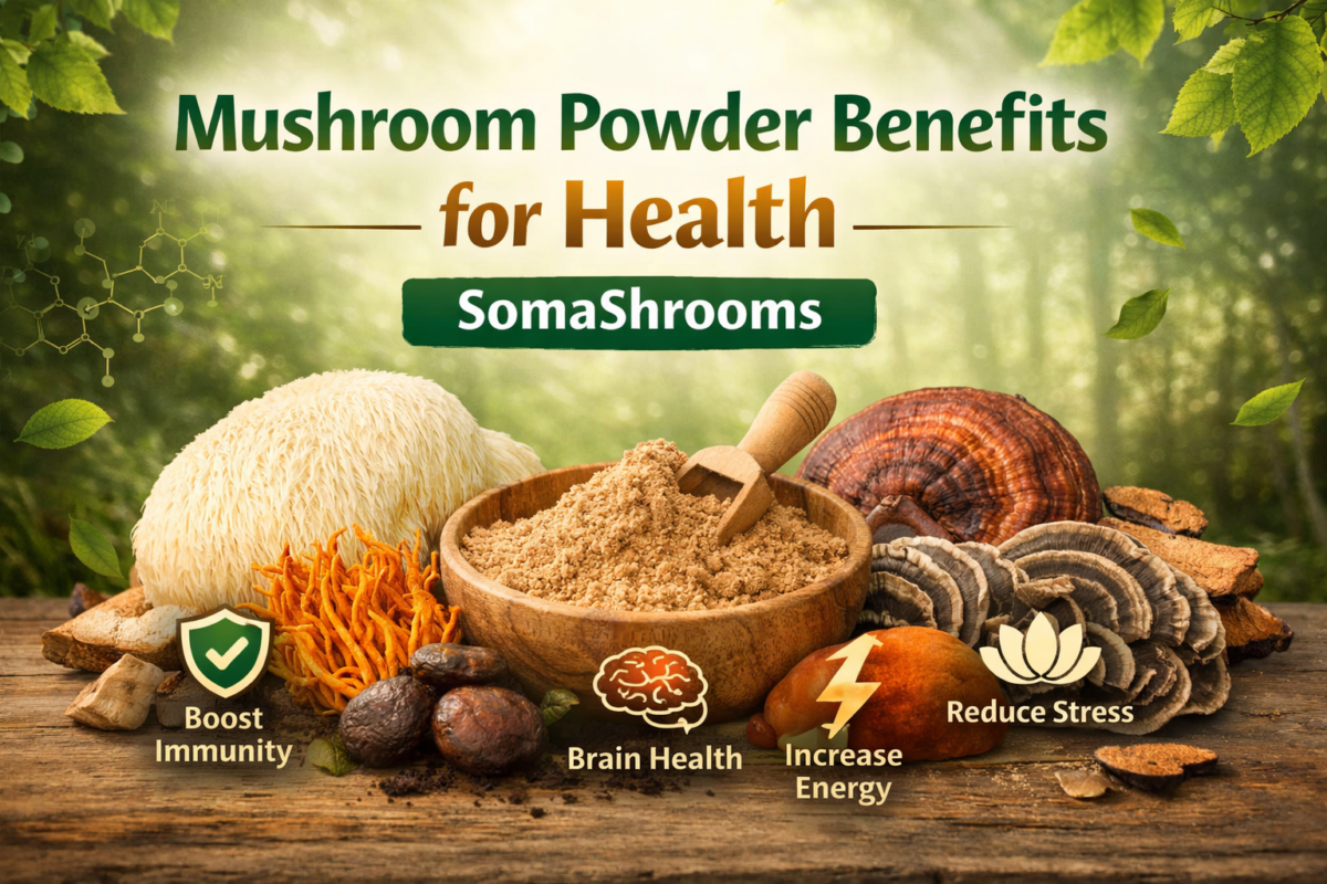 Mushroom Powder Benefits