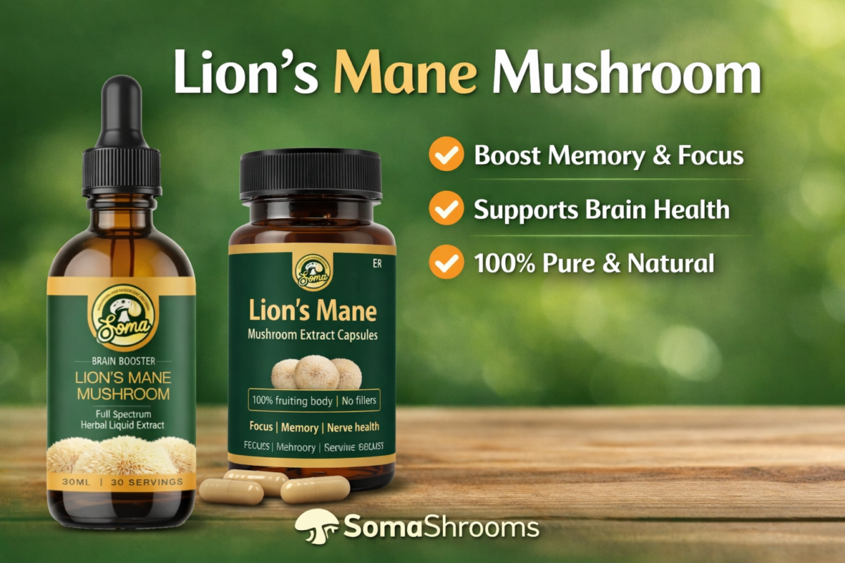 Lion’s Mane Mushroom