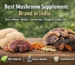Best Mushroom Supplement Brand