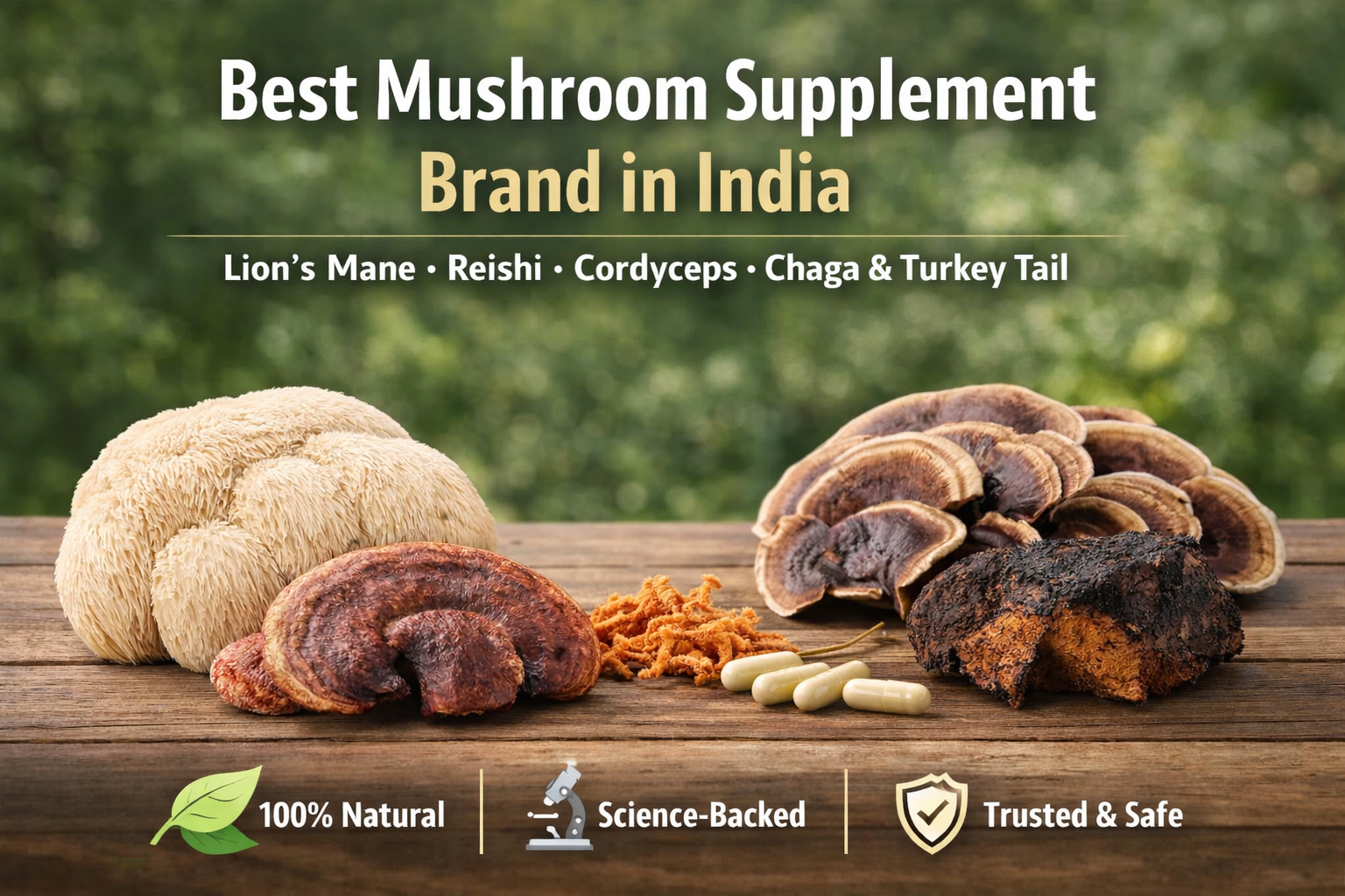 Best Mushroom Supplement Brand