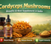 Cordyceps Mushrooms