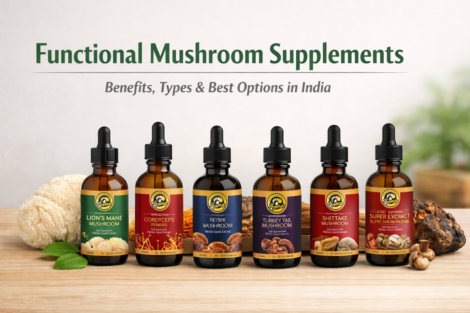 Functional Mushroom Supplements