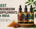 Best Mushroom Supplement Brand