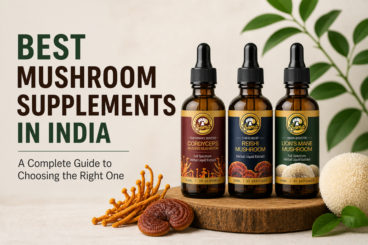 Best Mushroom Supplement Brand