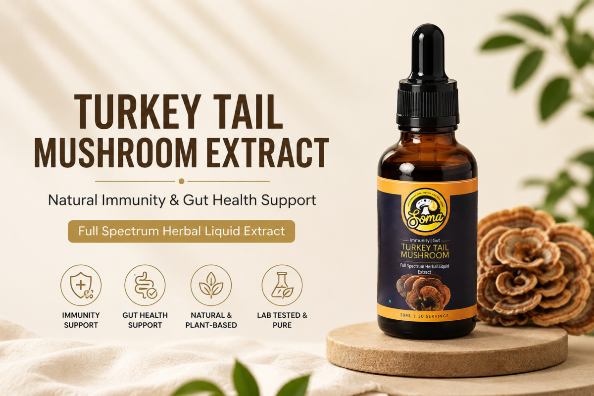 Turkey Tail Mushroom Extract