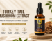 Turkey Tail Mushroom Extract