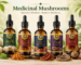 Medicinal Mushrooms