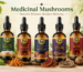Medicinal Mushrooms