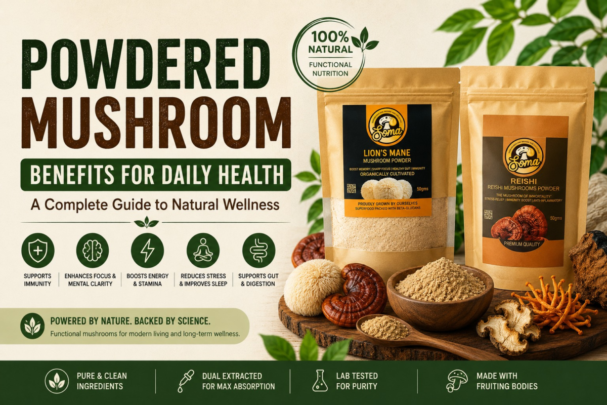 Powdered Mushroom Benefits for Better Health Daily