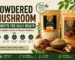 Powdered Mushroom Benefits for Better Health Daily