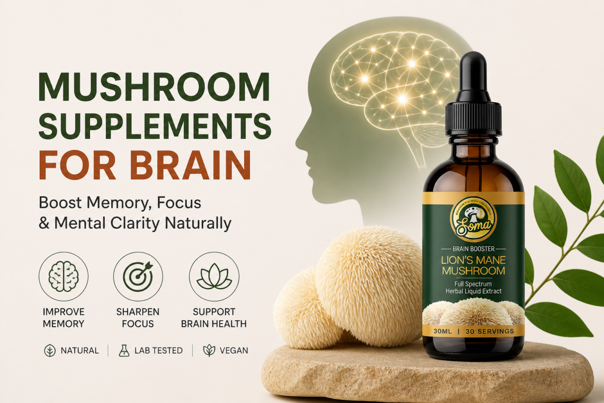Mushroom Supplements for Brain