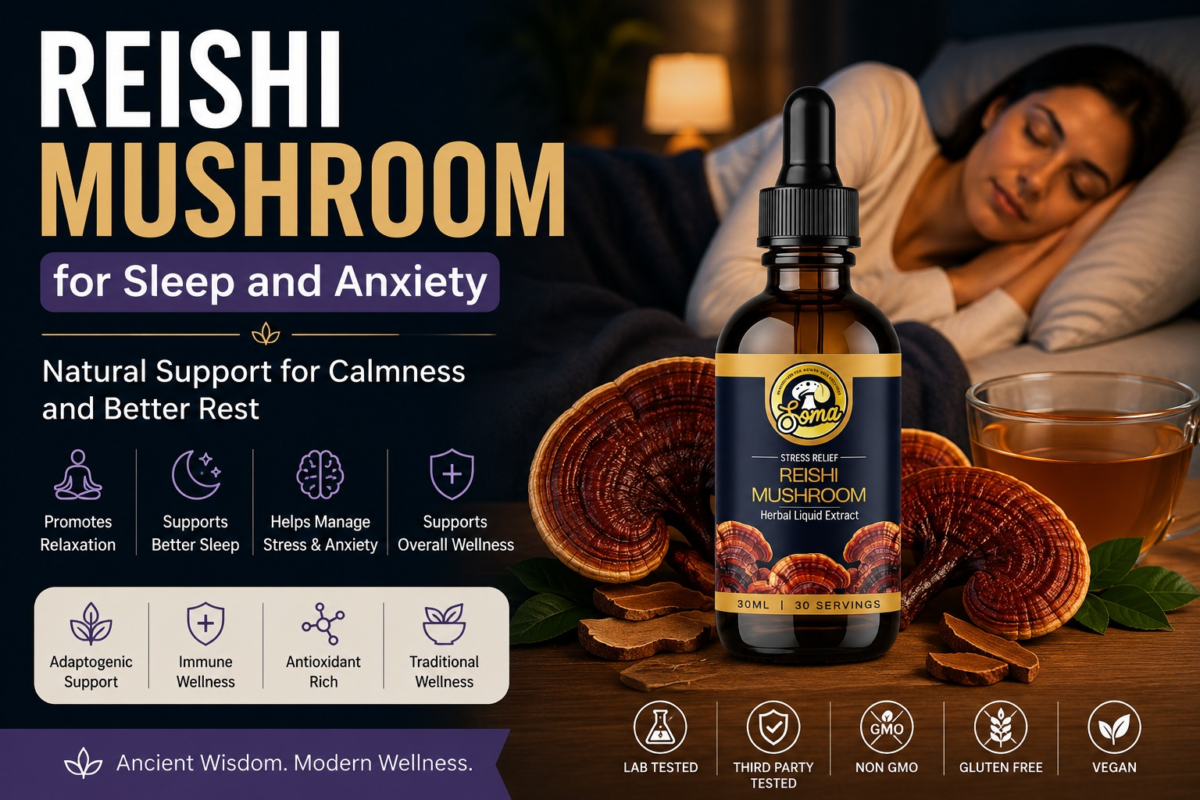 Best Reishi Mushroom for Better Sleep Naturally
