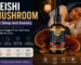 Best Reishi Mushroom for Better Sleep Naturally