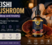 Best Reishi Mushroom for Better Sleep Naturally